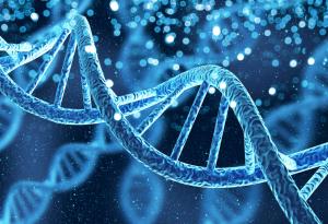 Филипинци от етническата група Айта Магбукон притежават най-висок дял денисовско потекло