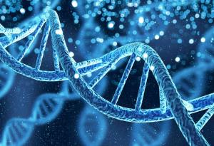 Китайски археолози са извлекли ДНК от човешки скелет на около 6000 години