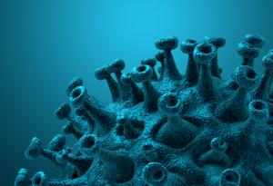 Коронавирусът се обезсилва сам след 70 дни, независимо как опитваме да го спрем