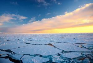 Какво се крие в арктическия лед?