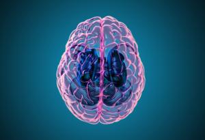 Мозъкът няма рецептори за болка: 10 изненадващи факта за сивото ни вещество