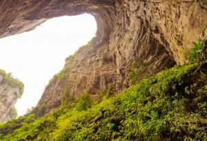 Откриха огромна карстова дупка в Китай, която е дом на „древна гора“