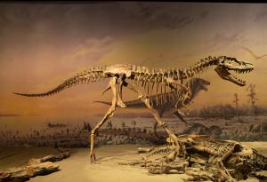 Две бебета динозаври, открити във вкаменелост на тиранозавър, хвърлят светлина върху начина на хранене на древните хищници
