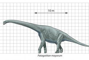 Динозавърът, изкопан в Аржентина, вероятно е най-голямото животно, бродило на Земята