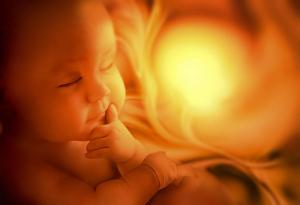 10 невероятни неща, които бебето прави в утробата