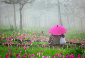 Тези 3 зодии са непоправими романтици