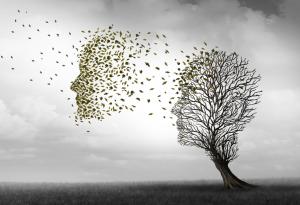 Владимир Санин за забравата