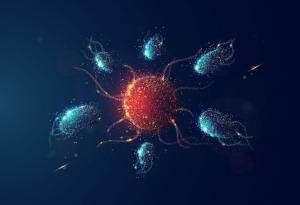 Можете да "заемете" имунитет: Интересни факти за имунната система