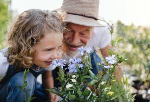 Загубата на обоняние също е признак на старостта