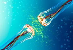 Създадоха изкуствен синапс с помощта на вода и соли