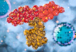 Ето кога отслабват антителата у хората, изкарали COVID-19