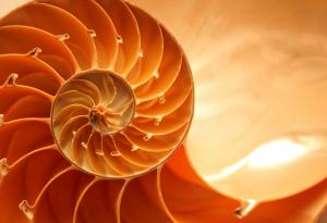 Защо красивите неща ни правят щастливи?