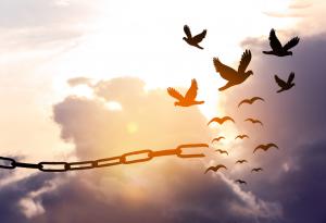 Стив Мараболи за висотата на мечтите