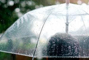 Тестът "Неочакван дъжд" ще ви покаже как реагирате при спорове