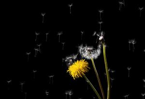 Не можем да изгубим нещо, което никога не сме притежавали