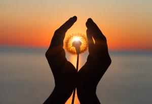 Питагор за тялото и душата