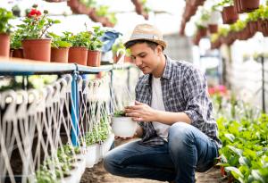 Виц: А вие какво бихте избрали?