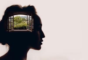 Свети Франциск: невъзможното е постижимо