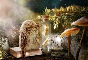 Как да станете по-мъдри? 