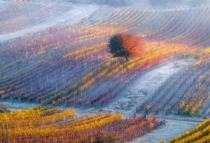 Почувствайте хипнотизиращата красота на Моравия с тези великолепни фотографии