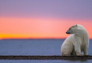 Какво е изменение на климата