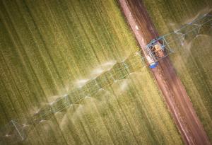 Използваните с десетилетия пестициди помрачават идилията на селския живот