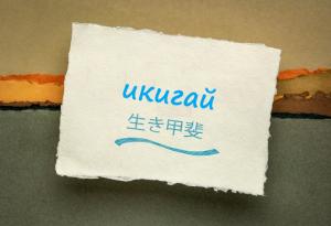 Вярата, че животът си струва да бъде изживян