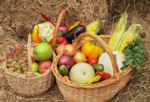 Взаимозависимост между климатичните промени и производството на храни