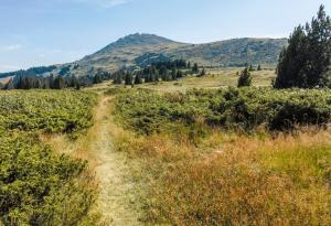 Доброволчески акции ще подобрят инфраструктурата в планините Витоша и Люлин