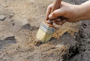 Археолози откриха един от най-древните случаи на ревматоиден артрит в света в гробница в Египет 