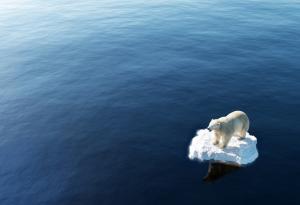 Богатите страни не изпълняват обещанията си за финансиране на борбата с климатичните промени