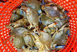 Притча за раците и завистта