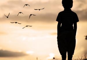 Понякога трябва да обичаш птица със счупено крило