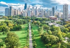 Дърветата могат да намалят с една трета смъртните случаи от градски горещини