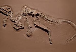 Ранните динозаври не са дишали нито като птиците, нито като нас