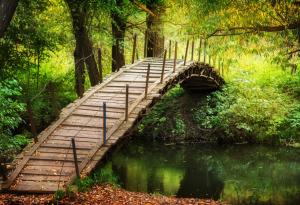 Притча за доброто, прошката, мостовете между хората