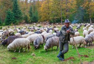 Виц: За мен е