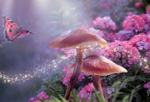 Толкин за хората, легендите и вълшебствата