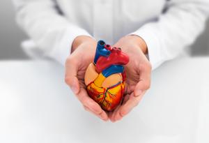 Как да се погрижим за здравето на сърцето си