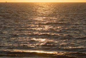 95% от океанската повърхност е на път да се промени към лошо, ако не действаме още сега