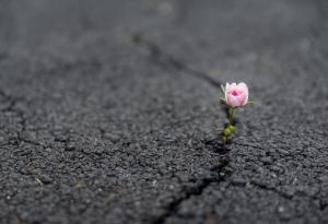 Фройд за красотата на житейските битки 