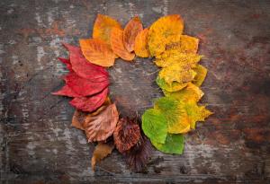 Колелото на живота: Притча за мъдрия и честен търговец