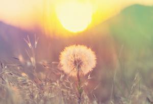 Габриел Гарсия Маркес за важното в живота