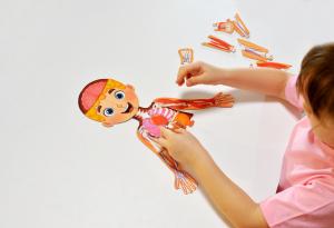 6 невероятни факта за човешкото тяло