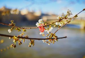 Приказка за баба Марта 