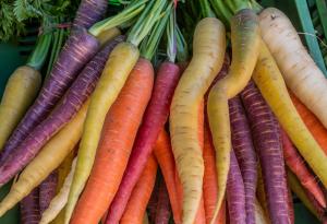 Учени откриха защо морковите имат оранжев цвят 
