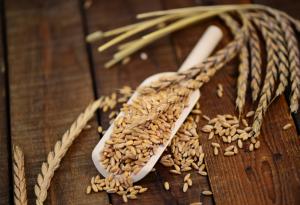 Люспи от спелта: ето защо трябва да ги ядете по-често за закуска