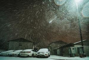 Защо дърветата се пръскат по време на ледените бури в Тексас?