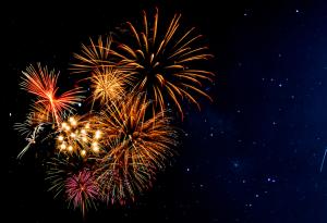 Австралийско изследване показва дълготрайното въздействие на шума от фойерверки върху дивата природа