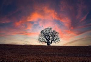 Какви са причините за изменението на климата и какви ще бъдат основните последствия от тях?
